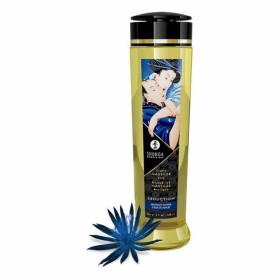 Huile de massage érotique Shunga Seduction Ylang Ylang (240 ml)