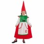 Costume for Children Gnome (4 Pieces) by BigBuy Carnival, Kids & Toddlers - Ref: S2428933, Price: 21,20 €, Discount: %