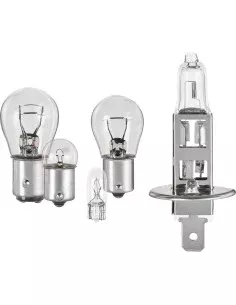 Halogen Bulb FORMULA 1 SL115 55W 12V | Tienda24 Tienda24.eu