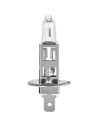 Halogen Bulb FORMULA 1 SL115 55W 12V | Tienda24 Tienda24.eu