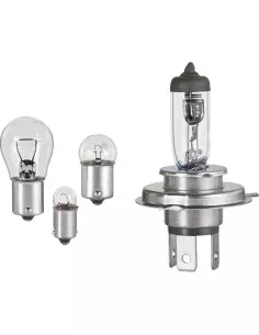 Halogen Bulb FORMULA 1 SL115 55W 12V | Tienda24 Tienda24.eu