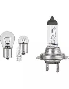 Halogen Bulb FORMULA 1 SL115 55W 12V | Tienda24 Tienda24.eu