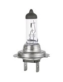 Car Bulb FORMULA 1 12 V 55 W H7 | Tienda24 Tienda24.eu