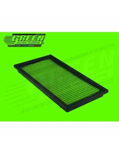 Filtro de aire Green Filters P960137 | Tienda24 Tienda24.eu