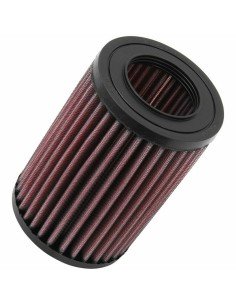 Filtro de aire Green Filters P491639 | Tienda24 Tienda24.eu