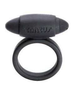 Anillo para el Pene NS Novelties Renegade | Tienda24 Tienda24.eu