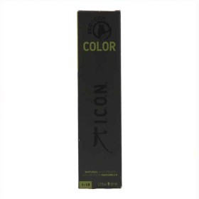 Natürlicher Farbstoff Ecotech Color Icon Brushed Nickel 60 ml