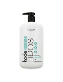 Shampoo Periche Greasy Hair (500 ml) | Tienda24 Tienda24.eu