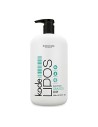 Shampoo Periche Greasy Hair (500 ml) | Tienda24 Tienda24.eu