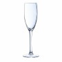 Coupe de champagne Chef&Sommelier Cabernet Transparent verre 6 Unités (16 cl) de Chef&Sommelier, Coupes à champagne - Réf : S...