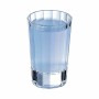 Verre à liqueur Cristal d’Arques Paris 7501616 verre 60 ml | Tienda24 - Global Online Shop Tienda24.eu