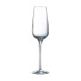 Coupe de champagne Chef & Sommelier 6 Unités Transparent verre (21 cl) de C&S, Coupes à champagne - Réf : S2705760, Prix : 31...