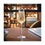 Champagne glass Chef & Sommelier Transparent Glass (21 cl) by C&S, Champagne flute - Ref: S2705807, Price: 33,14 €, Discount: %