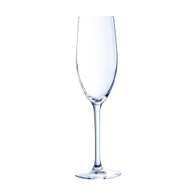 Coupe de champagne Chef & Sommelier Cabernet Transparent verre 240 ml de C&S, Coupes à champagne - Réf : S2705844, Prix : 32,...