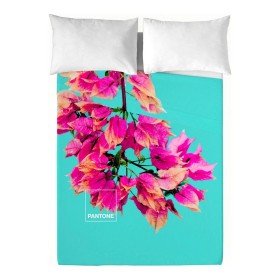 Capa de almofada Happy Home MIX COLORS Terra Casal 144 Fios 45 x 85 cm (2 Unidades) | Tienda24 - Global Online Shop Tienda24.eu