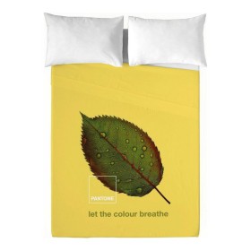 Juego de Sábanas Nature Pantone de Pantone, Sábanas y fundas de almohada - Ref: S2805351, Precio: 23,64 €, Descuento: %