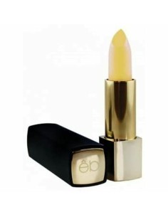 Lipstick Etre Belle Intense Lip Care +Volume (4,5 ml) by Etre Belle, Lipsticks - Ref: S4503129, Price: €16.95, Discount: %