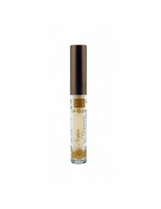 Brilho de Lábios Laquer Ink Shiseido 57336 (6 ml) | Tienda24 Tienda24.eu