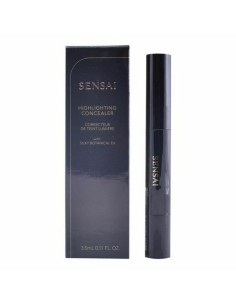 Concealer Stick Gelstick Shiseido Nº 304 (2,5 g) | Tienda24 Tienda24.eu