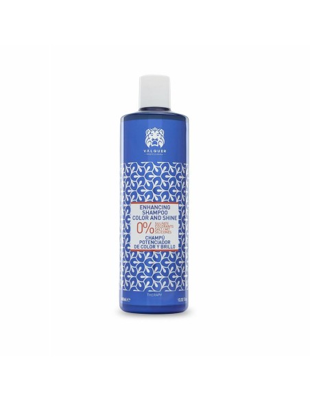 Shampoo Colour Reinforcement Zero Valquer Vlquer Premium 400 ml | Tienda24 Tienda24.eu