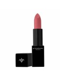 Lipstick Stendhal Nº 104 Matt (3,8 g) | Tienda24 Tienda24.eu