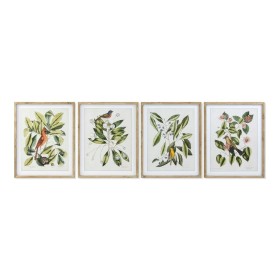 Quadro DKD Home Decor Bird 55 x 2,5 x 70 cm Tropicale Uccelli (4 Pezzi) di DKD Home Decor, Stampe e quadri su tela - Rif: S30...