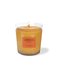 Bougie Parfumée Alyssa Ashley Shining Citrus 145 g | Tienda24 Tienda24.eu