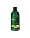 Duschgel Naturalium Ingwer 500 ml | Tienda24 Tienda24.eu