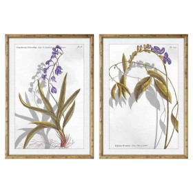 Bild DKD Home Decor 50 x 2 x 70 cm Moderne Botanische Pflanzen (2 Stück) von DKD Home Decor, Leinwanddrucke - Ref: S3018215, ...