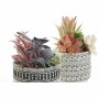 Planta Decorativa DKD Home Decor Cactus Resina Polietileno 11 x 11 x 21 cm (2 Unidades) de DKD Home Decor, Plantas - Ref: S30...