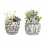 Plante décorative DKD Home Decor Résine Polyéthylène Cactus 12 x 12 x 18 cm (2 Unités) de DKD Home Decor, Plantes artificiell...