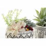 Plante décorative DKD Home Decor Résine Polyéthylène Cactus 12 x 12 x 18 cm (2 Unités) de DKD Home Decor, Plantes artificiell...