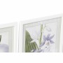 Painting DKD Home Decor 40 x 2 x 54 cm Flowers Shabby Chic (6 Pieces) | Tienda24 - Global Online Shop Tienda24.eu