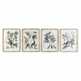 Pintura DKD Home Decor 50 x 2,5 x 65 cm Shabby Chic Plantas botânicas (4 Peças) de DKD Home Decor, Impressões sobre tela - Re...