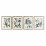 Pintura DKD Home Decor 50 x 2,5 x 65 cm Shabby Chic Plantas botânicas (4 Peças) de DKD Home Decor, Impressões sobre tela - Re...