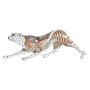 Figura Decorativa DKD Home Decor Blanco Multicolor Naranja Blanco/Naranja Leopardo Colonial 30 x 40 cm 37 x 10 x 13 cm de DKD...