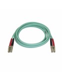 Cavo di Rete Rigido UTP Categoria 6 Startech 450FBLCLC2 2 m da Startech, Cavi Ethernet - Ref: S55058143, Precio: 21,45 €, Des...