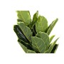 Plante décorative DKD Home Decor Polyéthylène Vert 40 x 40 x 120 cm Urbaine | Tienda24 - Global Online Shop Tienda24.eu