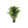 Planta Decorativa DKD Home Decor 50 x 50 x 90 cm Metal Polietileno Verde 30 x 40 cm Ficus Urbano de DKD Home Decor, Plantas -...