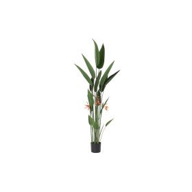 Plante décorative EDM 18 cm | Tienda24 - Global Online Shop Tienda24.eu