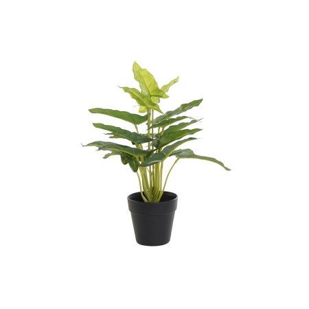 Plante décorative DKD Home Decor PVC polypropylène 25 x 25 x 30 cm | Tienda24 - Global Online Shop Tienda24.eu