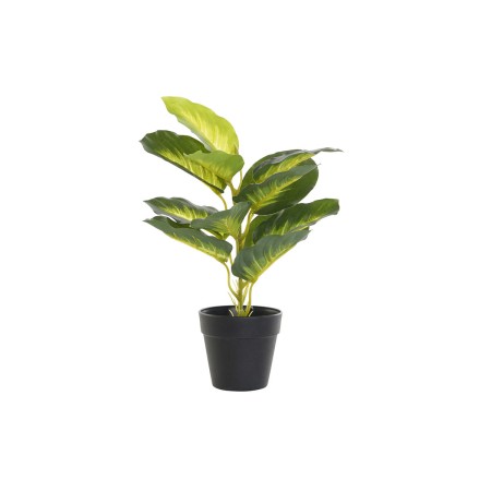 Plante décorative DKD Home Decor PVC polypropylène 25 x 25 x 30 cm de DKD Home Decor, Plantes artificielles - Réf : S3030550,...