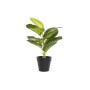 Decorative Plant DKD Home Decor PVC polypropylene 25 x 25 x 30 cm | Tienda24 - Global Online Shop Tienda24.eu