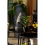 Decorative Plant DKD Home Decor PVC polypropylene 25 x 25 x 30 cm | Tienda24 - Global Online Shop Tienda24.eu