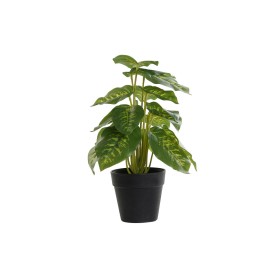 Decorative Plant DKD Home Decor PVC polypropylene 20 x 20 x 30 cm by DKD Home Decor, Artificial Plants - Ref: S3030552, Price...