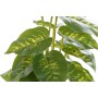 Decorative Plant DKD Home Decor PVC polypropylene 20 x 20 x 30 cm | Tienda24 - Global Online Shop Tienda24.eu