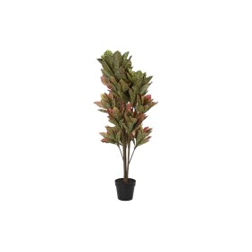 Plante décorative DKD Home Decor Marron Polyéthylène Vert 50 x 50 x 140 cm de DKD Home Decor, Plantes artificielles - Réf : S...