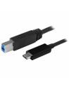 Câble USB C Startech USB31CB1M Noir 1 m | Tienda24 Tienda24.eu