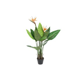 Decorative Plant Home ESPRIT Plastic | Tienda24 - Global Online Shop Tienda24.eu