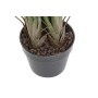 Plante décorative DKD Home Decor (80 x 80 x 120 cm) de DKD Home Decor, Plantes artificielles - Réf : S3041960, Prix : 66,49 €...